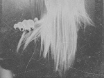 Fotoblog maaadame