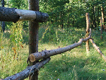 Fotoblog paoolq