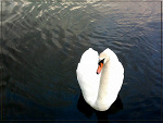 Fotoblog photoadventure