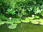 Fotoblog kulka51297