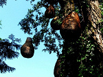 Fotoblog smilexlilka