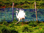 Fotoblog gregstr