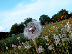Fotoblog upbeat09