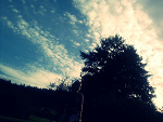 Fotoblog esia666