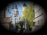 Fotoblog kleonemo