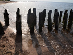 Fotoblog myphotographies