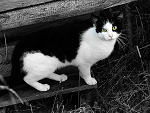 Fotoblog beautifullifexd