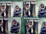 Fotoblog kaduusiaaa
