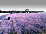 Fotoblog kimmmi