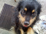 Fotoblog nieznajoma1234566