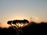 Fotoblog make4u
