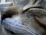 Fotoblog alessa93