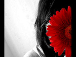 Fotoblog lilipot