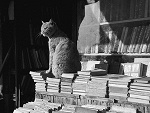 Fotoblog aska2710