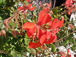 Fotoblog lalunia999