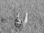Fotoblog aniapietrowska