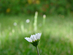Fotoblog przeseb