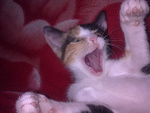 Fotoblog zuzka1114