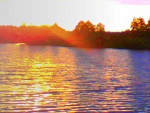 Fotoblog drss