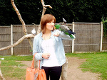 Fotoblog kamita