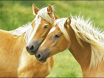 Fotoblog unattainablesx3