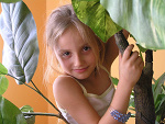 Fotoblog ada7751