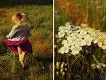 Fotoblog brais