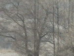 Fotoblog paulinek108