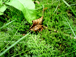 Fotoblog itzallie