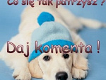 Fotoblog oklaudia