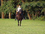 Fotoblog mywholelife
