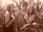 Fotoblog summer153