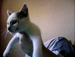 Fotoblog skarpeta1999