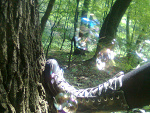 Fotoblog asamichan