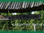 Fotoblog rona28
