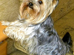 Fotoblog nikka79513