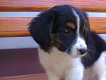 Fotoblog iniessa