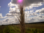 Fotoblog wilq1040