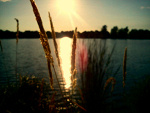 Fotoblog rastaberry