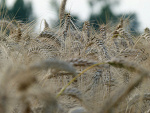 Fotoblog zulan