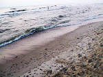 Fotoblog mrrrah