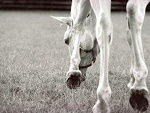 Fotoblog foreverqnie