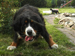 Fotoblog plasticheart90