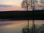 Fotoblog zola66