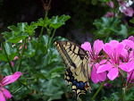 Fotoblog ewka3678
