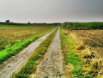 Fotoblog superktosiek