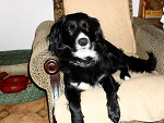 Fotoblog martynagxd1