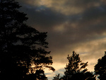 Fotoblog nieideeaalna