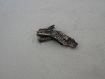 Fotoblog werka6