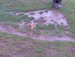 Fotoblog cypix123